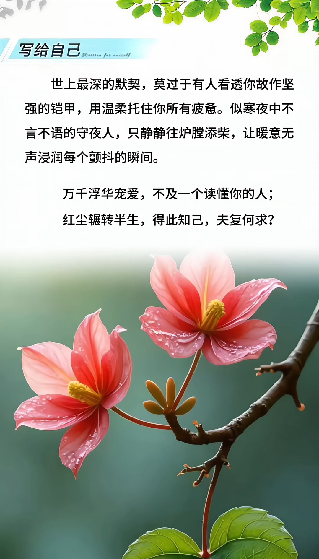 沉默的人(沉默的人给人什么感觉)
